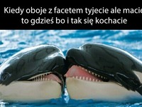 Kochające się grubaski