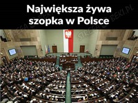 Największa szopka