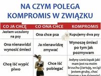 Na czym tak na prawdę polega kompromis w związku! LOL