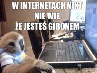 w internecie nikt nie wie