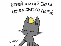 Dzień kota? A co to takiego? XD