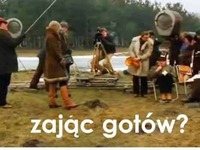 zając gotów?