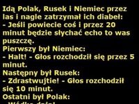 Idą Polak, Rusek i Niemiec przez las i nagle zatrzymał ich diabel! HaHa