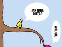 Jak idzie dieta