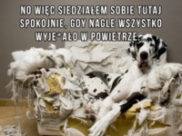 No więc siedziałem sobie tutaj spokojnie :D