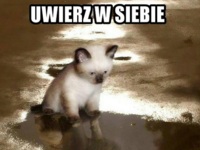 Uwierz w siebie :)