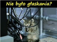 Nie ma internetu