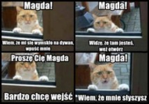 Magda! Wpuść koteła haha