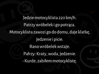 Co się dzieje z wróbelkiem, jak wpadnie na motocyklistę :D