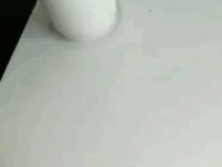 Niezwykli pasażerowie linii lotniczych