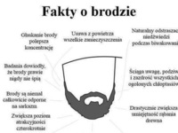 Najlepsze fakty o brodzie! ZOBCZ czy warto zapuszczać! :D