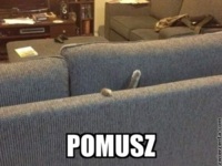 Pomuszz