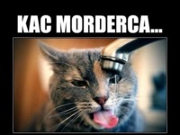 Kac morderca...