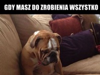 Masz do zrobienia wszystko