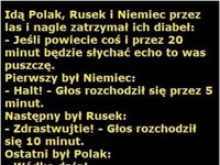 Idzie Polak, Niemiec i Rusek... HAHA Polak jak zwykle okazał się mistrzem!