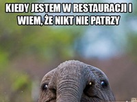 Kiedy nikt nie patrzy