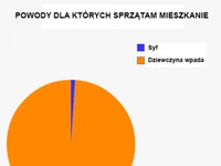 Sprzątanie mieszkania