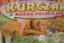 poleca się