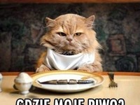 gdzie piwo?