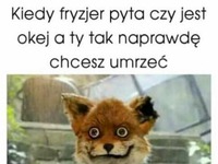 Kiedy fryzjer pyta