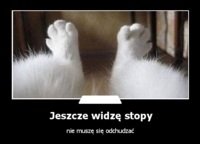 Jeszcze widzę stopy :)