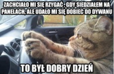 To był dobry dzień