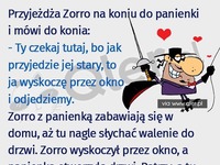 Zorro miał plan, ale nie przewidział TEGO!