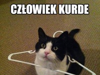 Człowiek kurde