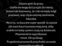 Dzwoni gość do pracy: "Szefie nie mogę dziś przyjść do roboty?" :)