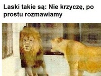 Jakbym widział wszystkie MOJE BYŁE XD