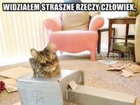 Widział straszne rzeczy