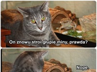 znowu stroi głupie miny