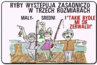 Trzy rodzaje ryb