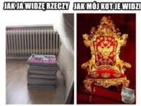 Jak ja widze swoje RZECZY a jak widzi je mój KOT! hahah DOBRE :D