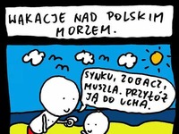 Sezon otwarty! Zobacz co NA STÓWĘ usłyszysz nad polskim morzem! XD