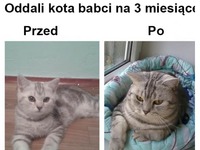 Spasł się XD