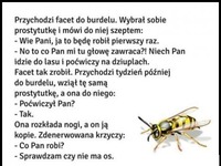 Facet poszedł do BURDELU! Jedna dziewczyna dała mu niezłą radę... XD