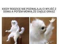 O o tu chodzi