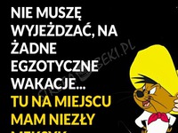 Nie muszę wyjeżdżać