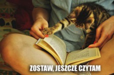 Jeszcze nie skończył