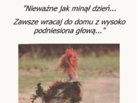 Nieważne jak minął dzięn...