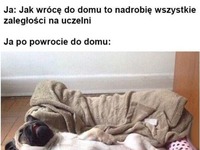 najlepszy sposób na zaległości