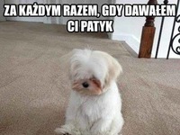 za każdym razem