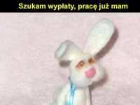 Szukam wypłaty