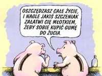 Oszczędzanie