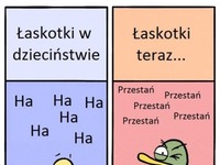 tak to wygląda