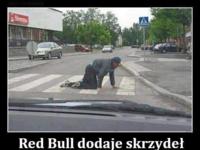 Red Bulll dodaje skrzydeł
