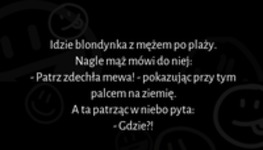 Idzie blondynka z mężem po plaży :D