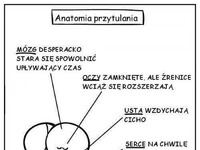 Anatomia przytulania :D