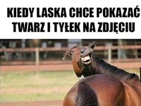 Kiedy laska chce pokazać twarz i tyłek na zdjęciu